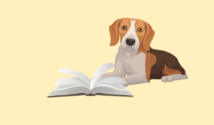 beagle with a book on a yellow background
